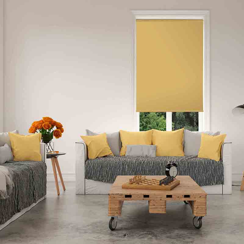 custom-one-colour-blind-1