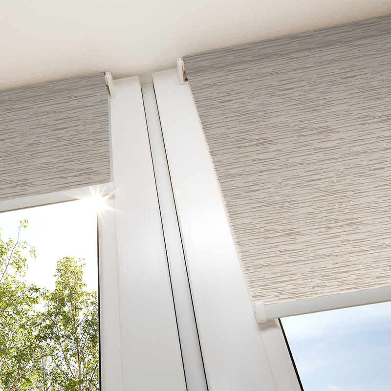 northcote-camel-blind-1