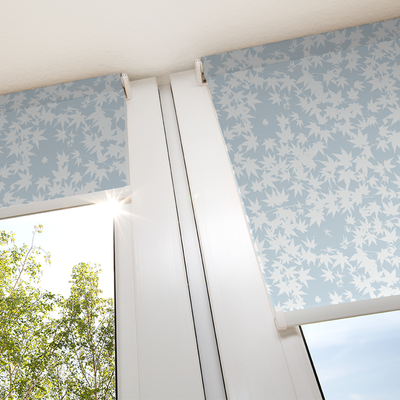 maple-leaf-baby-blue-blind-3