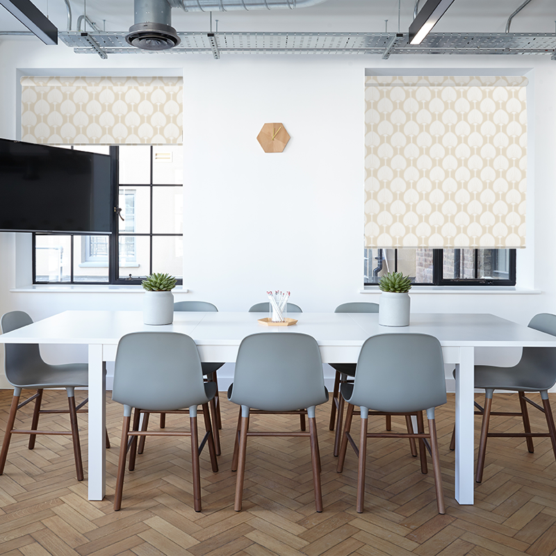 miko-biscuit-blind-1