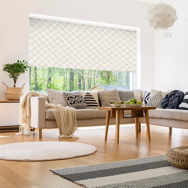 miko-biscuit-blind-3